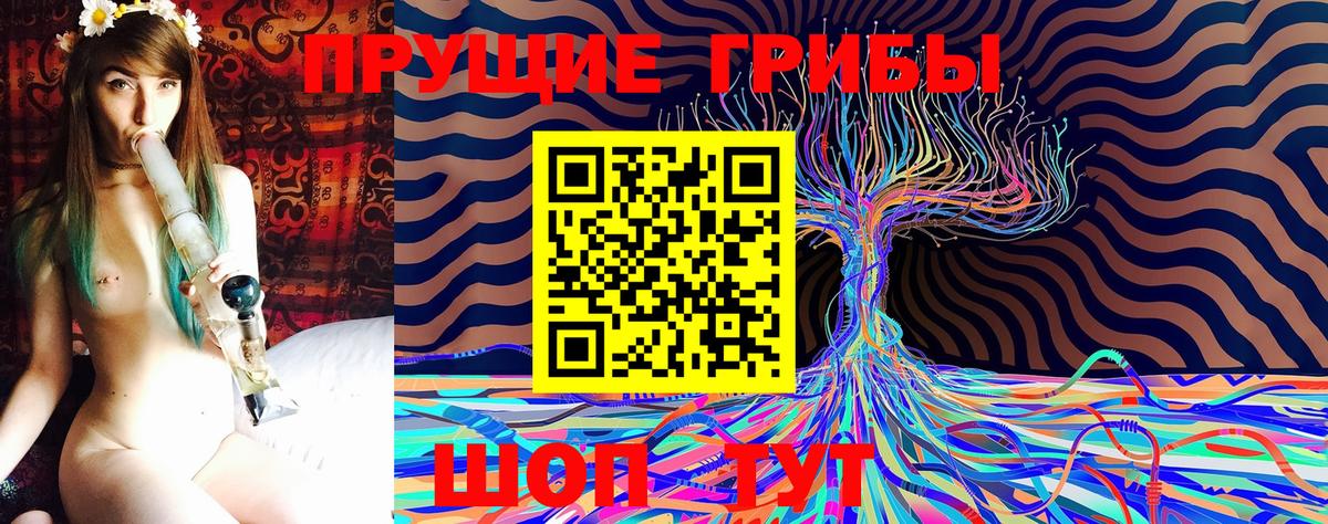 Псилоцибиновые грибы Psilocybe  Псилоцибиновые грибы мицелий  Вход с VPN  купить наркотики сайты  Котельники 