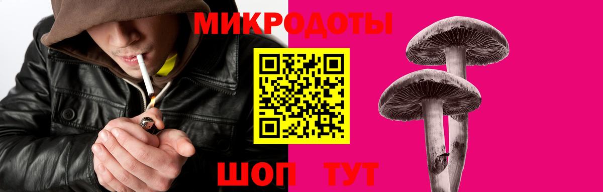 Псилоцибиновые грибы GOLDEN TEACHER Котельники